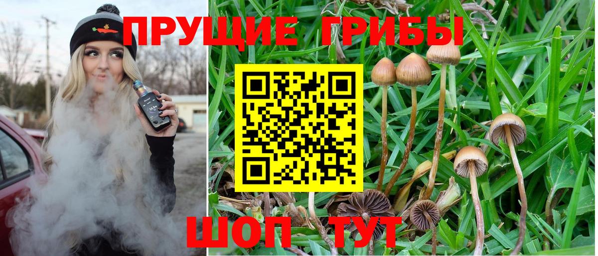 Псилоцибиновые грибы MAGIC MUSHROOMS Кондопога