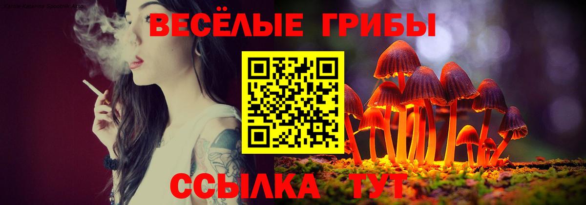 Кондопога  Псилоцибиновые грибы прущие грибы  Вход с VPN 